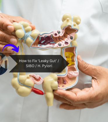 How to Fix ‘Leaky Gut’ / SIBO / H. Pylori